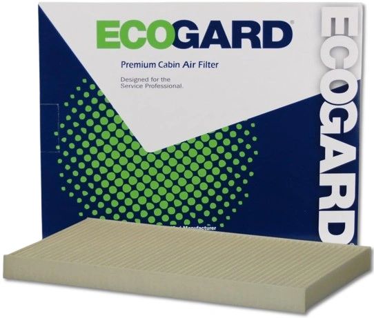 ECO:XC10049