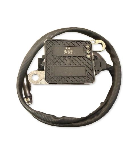 PAI:650620 - Image 3