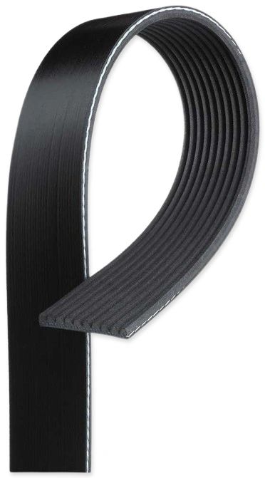 GARTES:K100710
