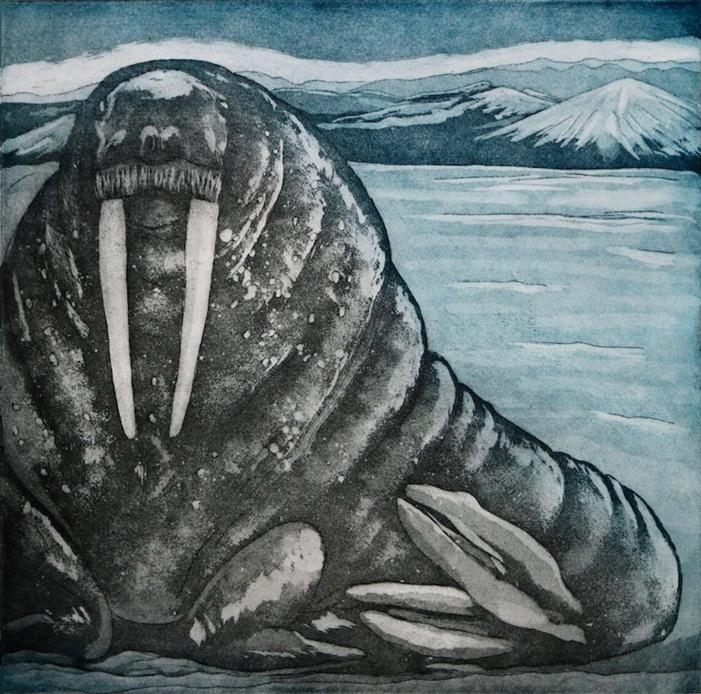 'I AM THE WALRUS'
Etching and Aquatint
Paper size, 41cm x 41cm
Image size, 29.5cm x 29.5cm


