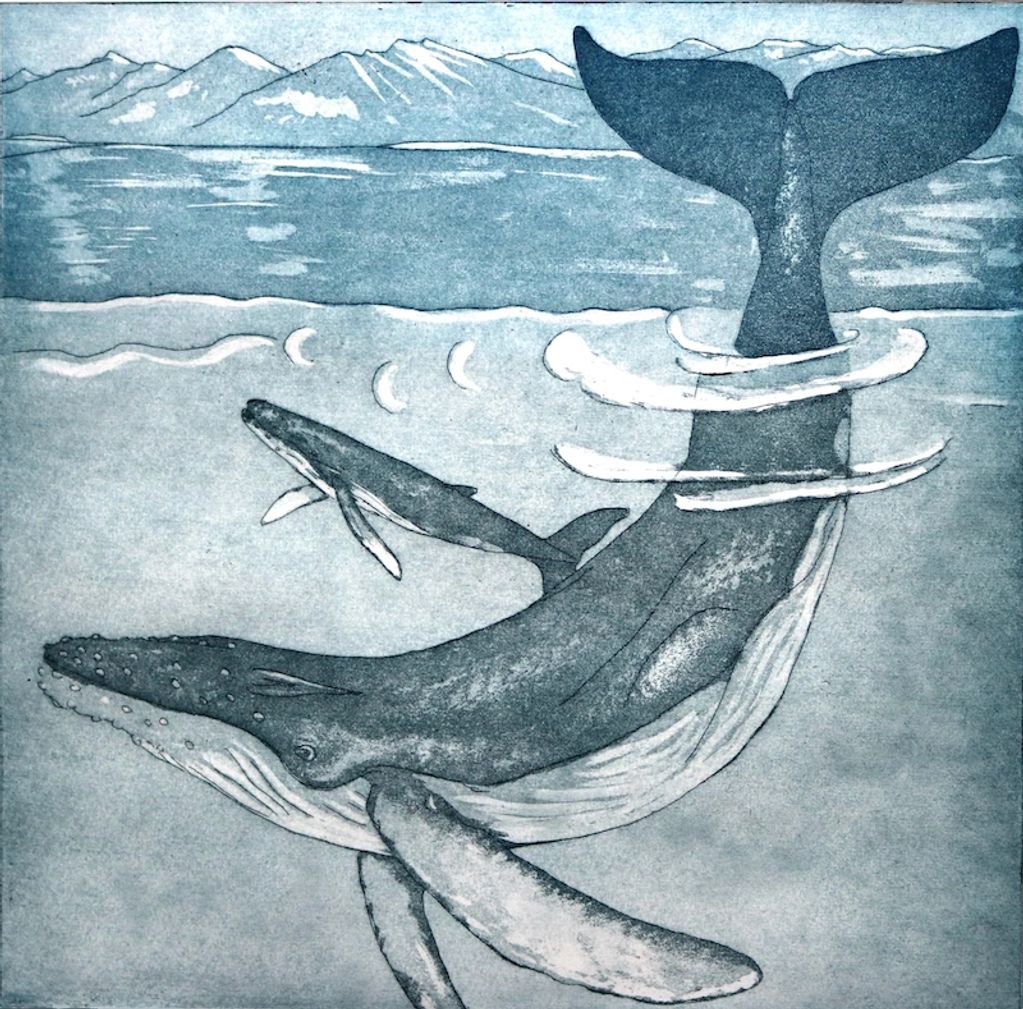 'IN GLACIAL WATERS'
Etching and Aquatint
Paper size, 41cm x 41cm
Image size, 29.5cm x 29.5cm
