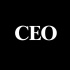 CEO Explaining