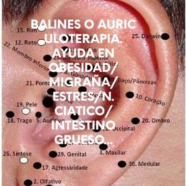 LA AURICULOTERAPIA COMO TECNICA EN LA AYUDA DE ENFERMEDADES.  100% N A T U R A  L.