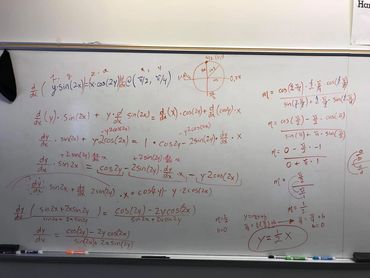 Working on a calculus problem with a student.