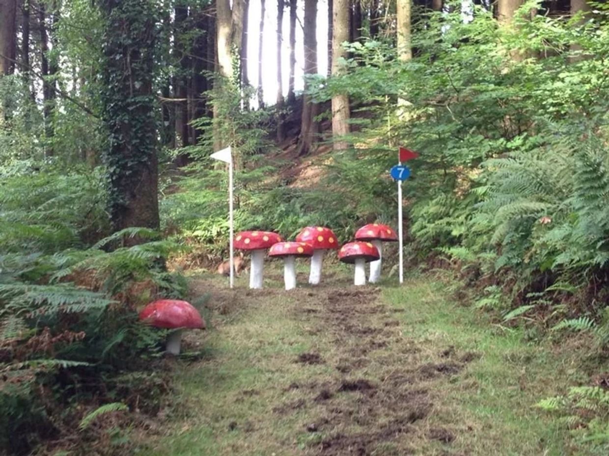 Artificial red mushrooms and flags in a forest clearing.