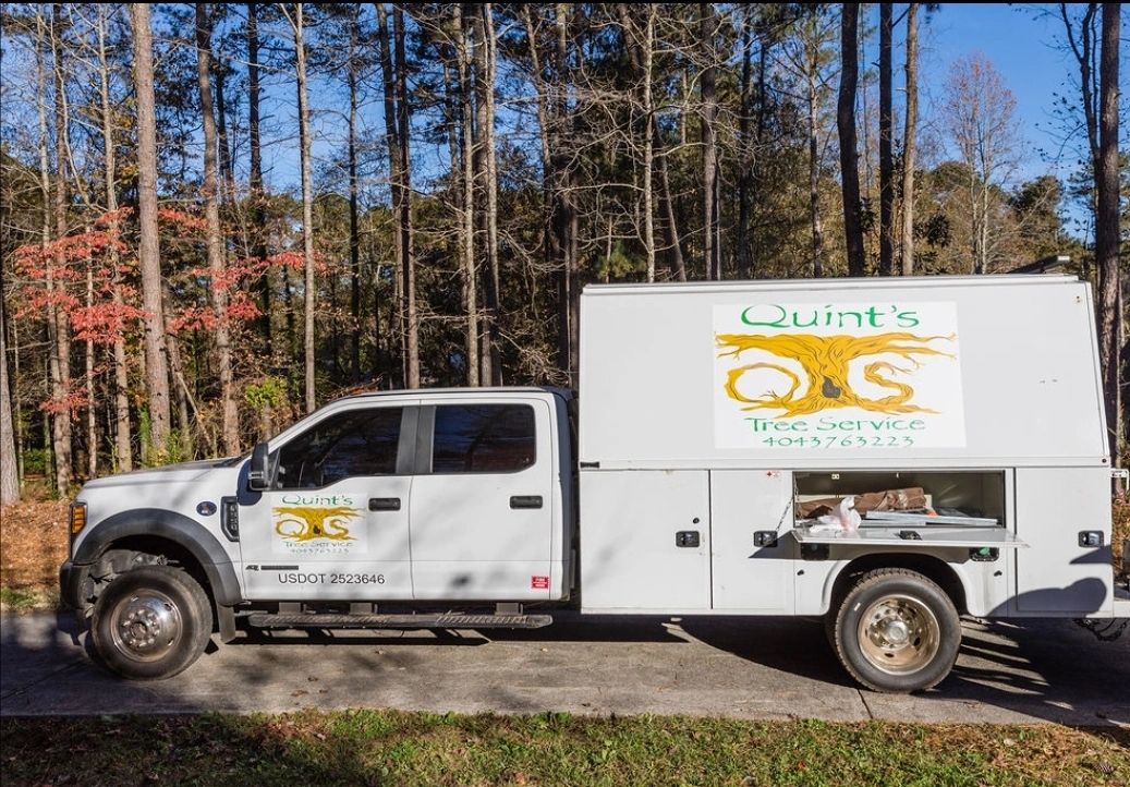 Quint's Tree Service Tree Service, Project