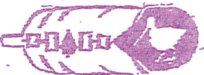 Onondaga Nation Clan of Snipe Established 1,000 B.C. 