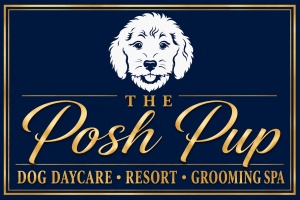 The Posh Pup