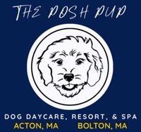 The Posh Pup