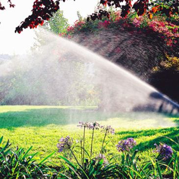 sprinkler repairs, landscape lighting in The Woodlands Texas