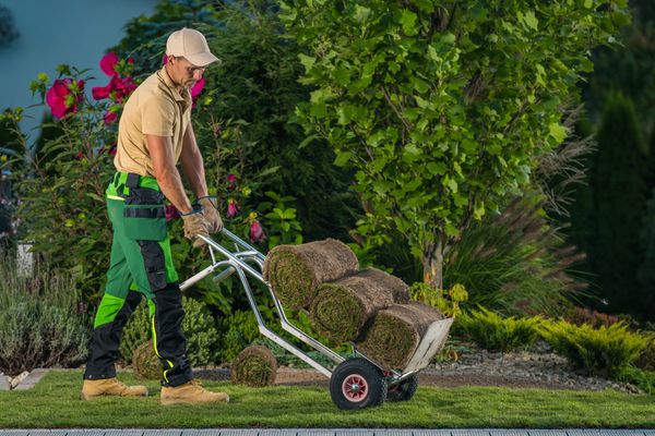 L and J Landscaping LLC