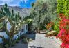 gated and hedged front yard