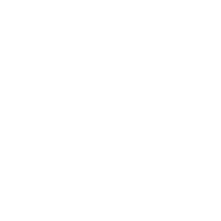 Iona Labrador AKC