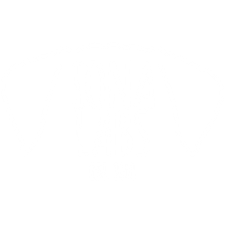 Iona Labrador AKC