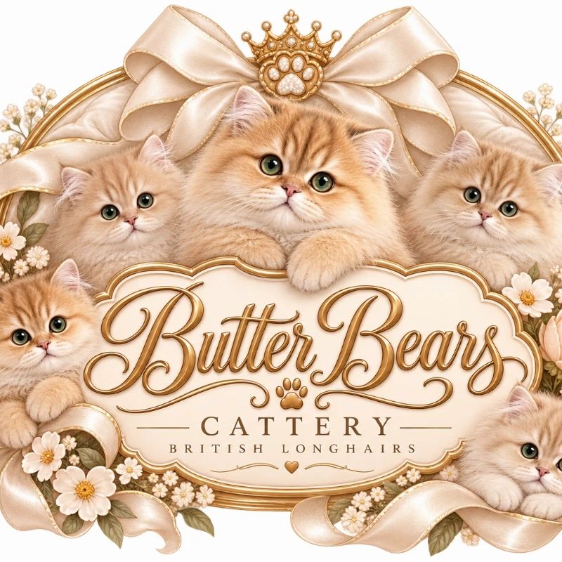 https://img1.wsimg.com/isteam/ip/7932034e-7a39-4620-a711-87cf331354ff/thumbnails/thumbnail-81a02952-b1ad-40e2-9ada-d5e4969ad321.png