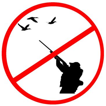 Prohibida La Cacería