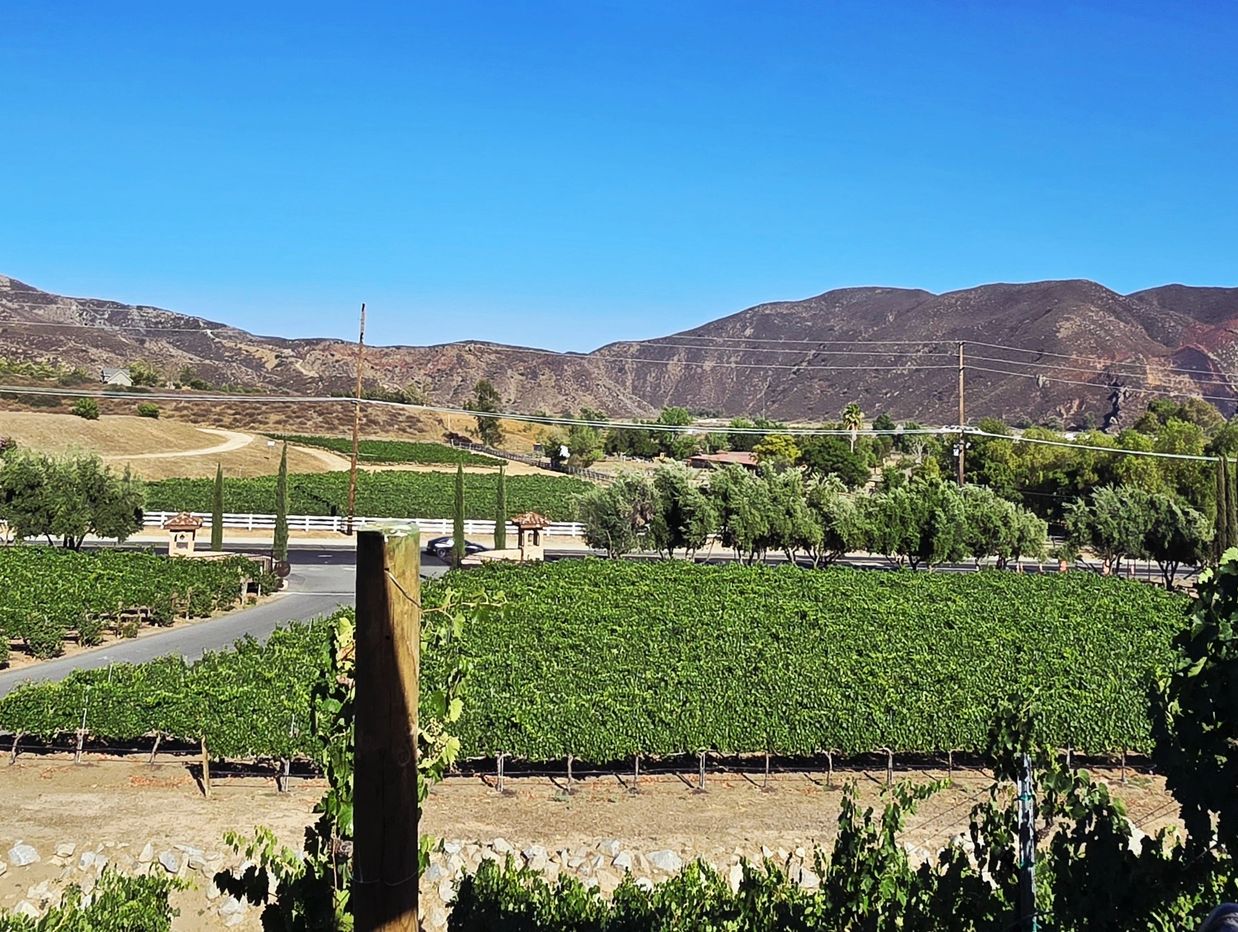 Homes forsale in Wine Country Temecula California. Tom and Dawn Wayer.  BUY HOME IN TEMECULA