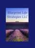 Blueprint Life Strategies LLC