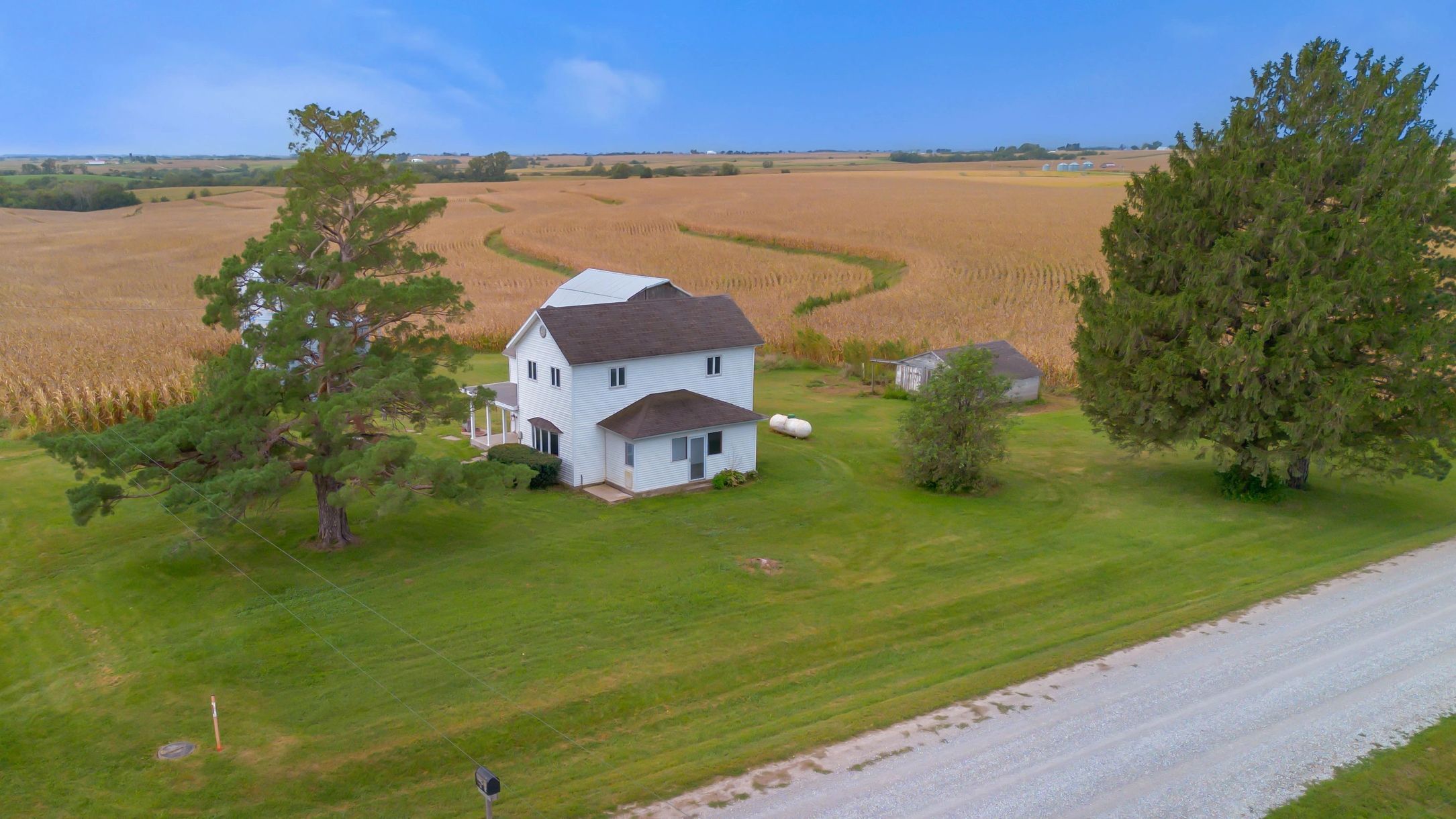 Farmhouse with trees and vast cornfield under blue sky.