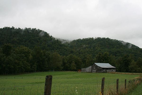 Mountains Tatra landscape with green forest