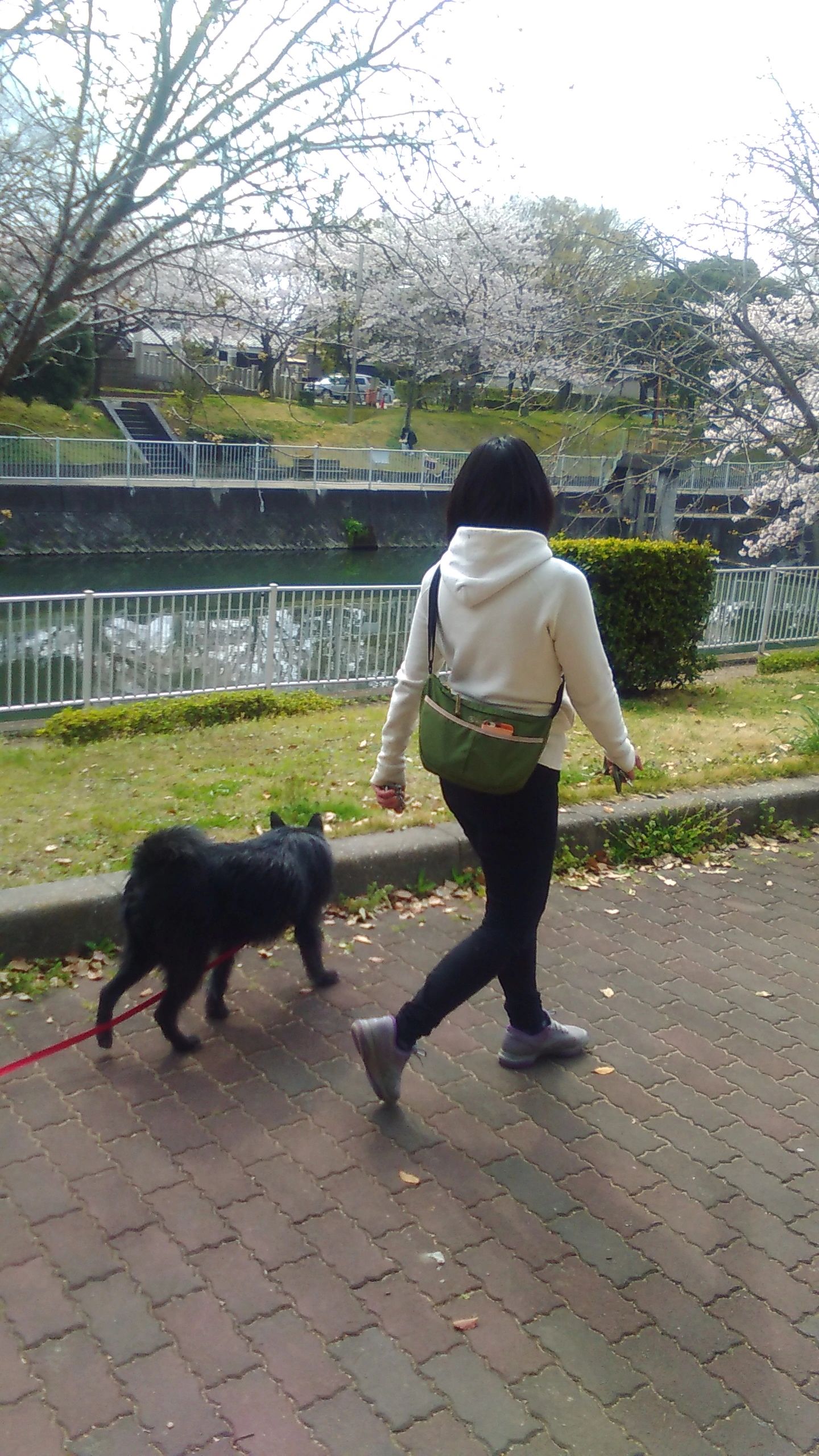Littledog姫路しつけ教室 Littledog姫路しつけ教室