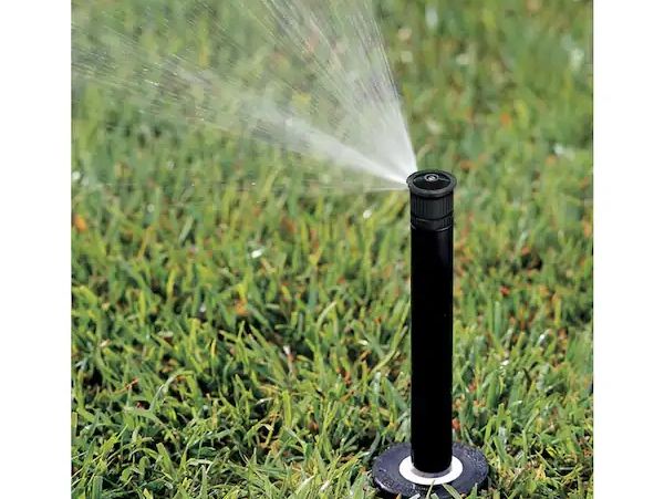 Rainbird 6" Pop Up Sprinkler Head