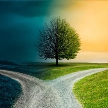 Tree at a fork in the road showing day and night contrast.