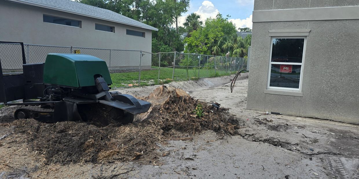 A stump grinder machine clearing tree roots near a building.