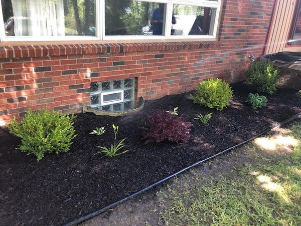 Landscaping upgrade. Plant install, mulch install and border installed. Landscaping services.
