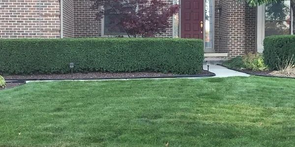 Shrub pruning services in Westland, MI. Lawn maintenance services. Lawn mowing services.