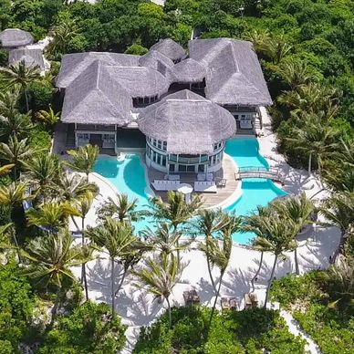 A luxurious tropical villa with a pool surrounded by dense greenery.