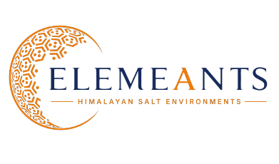 ELEMEANTS LLC