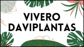 Vivero Daviplantas