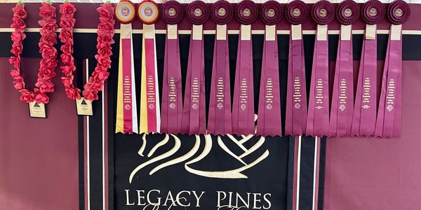 Ribbons and floral garlands displayed at Legacy Pines Performance Horses.