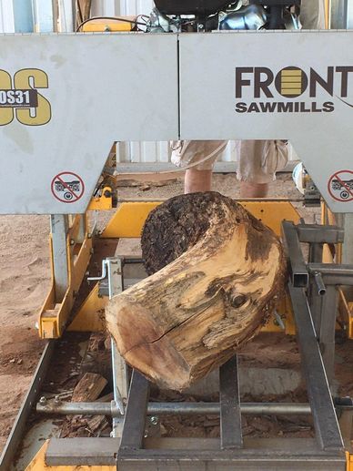 Mesquite Burl Sawmill Setup