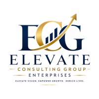 elevateconsultinggrp.com