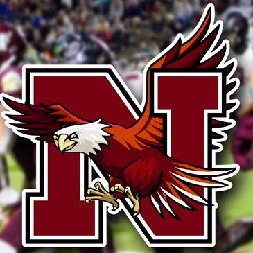 A fierce eagle flying over a large letter N.