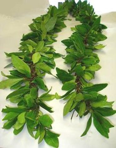 a green lei