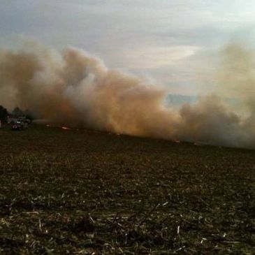 Smoke rises from a fire burning in a dry field under a cloudy sky.