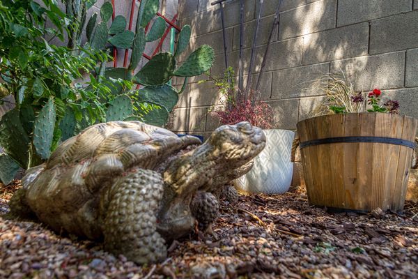 nature preschool arizona, forest preschool arizona, environmental education sierra vista az