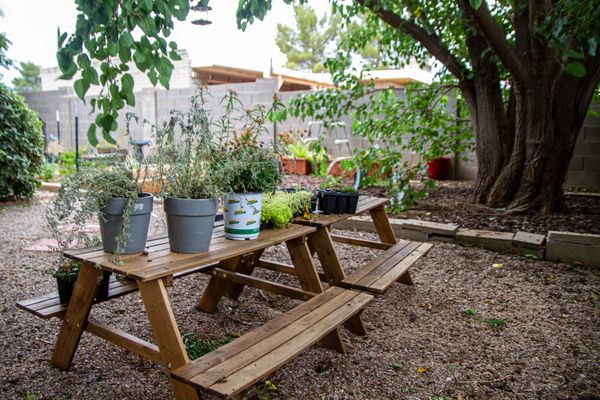 nature preschool arizona, forest preschool arizona, environmental education sierra vista az