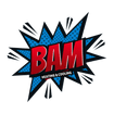 BAM Heating & Air LLC