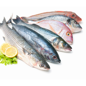 whole round fish