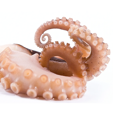 Octopus tentacles