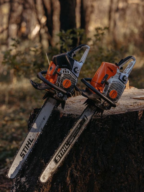 Chainsaws on stump