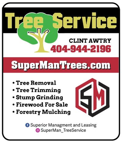 Tree Service Jackson Superman Trees
