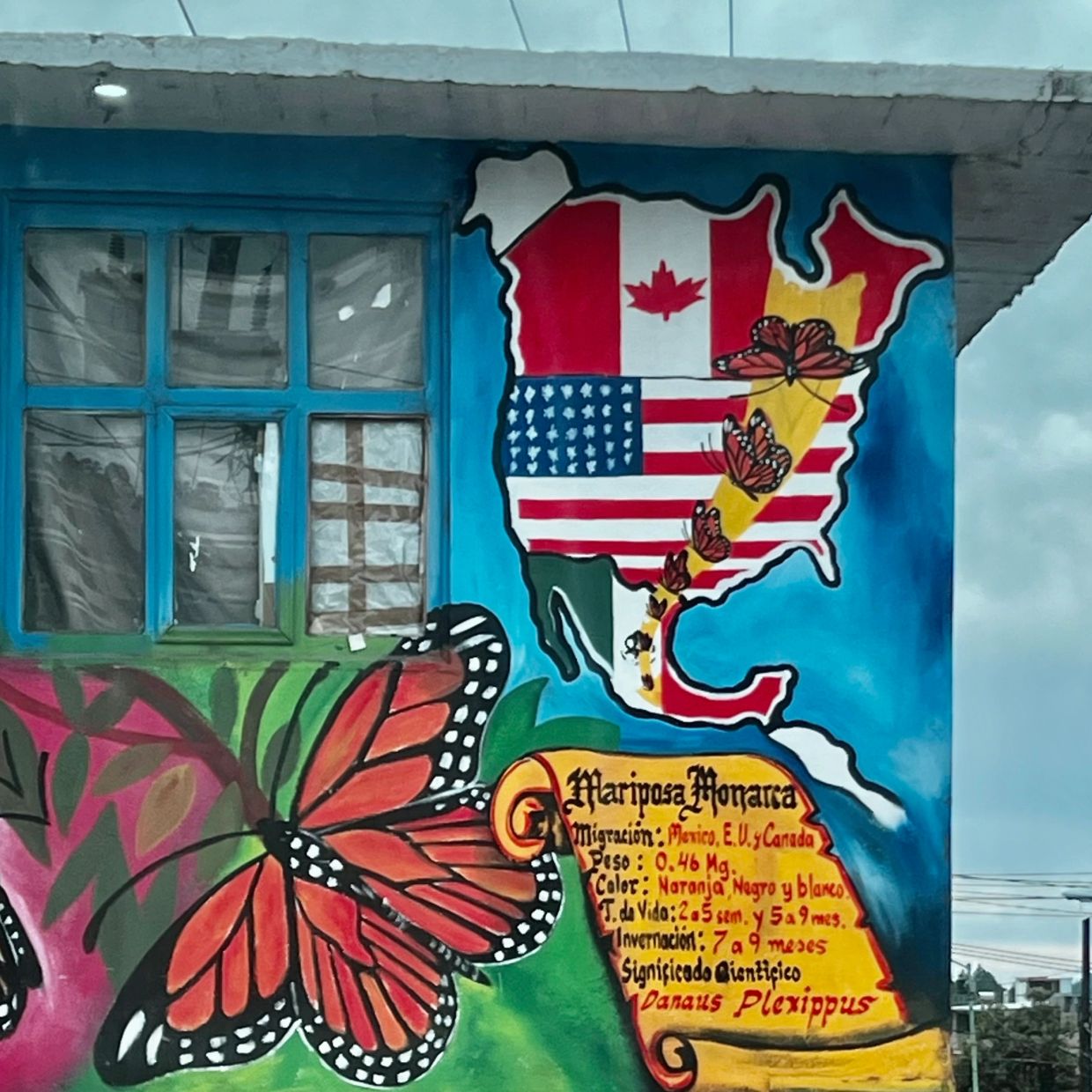 Mural showing Monarch butterfly migration across North America with flags and butterfly illustrations.