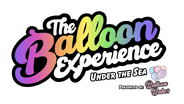 The Balloon Experience