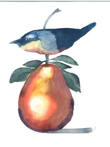 Bird on a Pear.
Watercolor on paper.