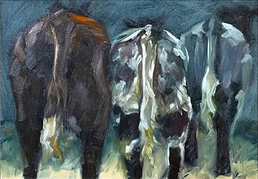 cows